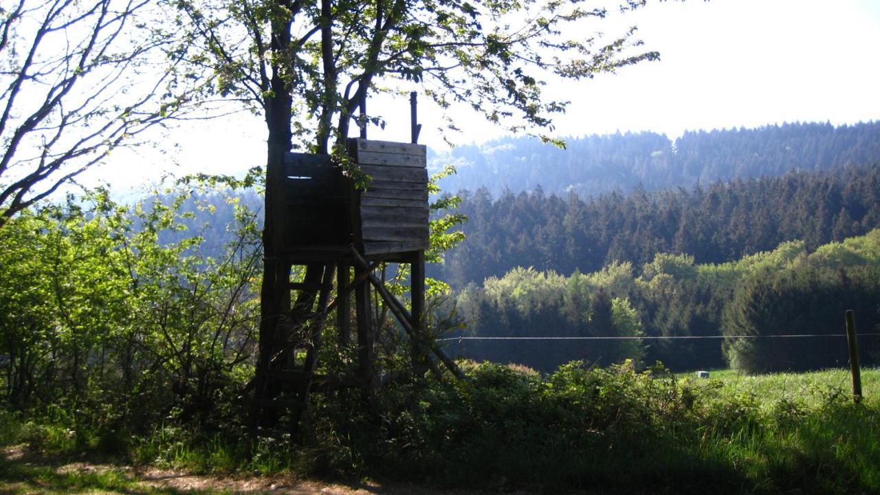 Fewo Marita Wimbach Bagian luar foto
