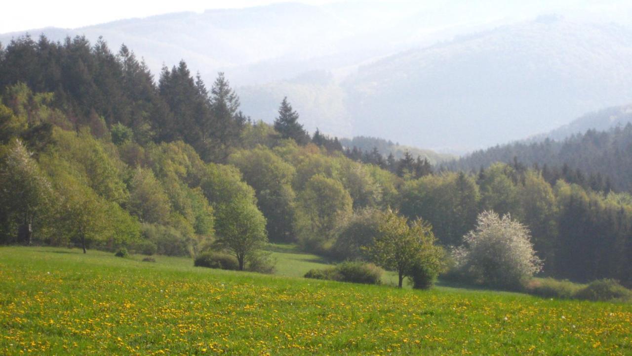 Fewo Marita Wimbach Bagian luar foto